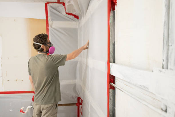 Best Residential Mold Inspection & Testing  in Applewood, CO