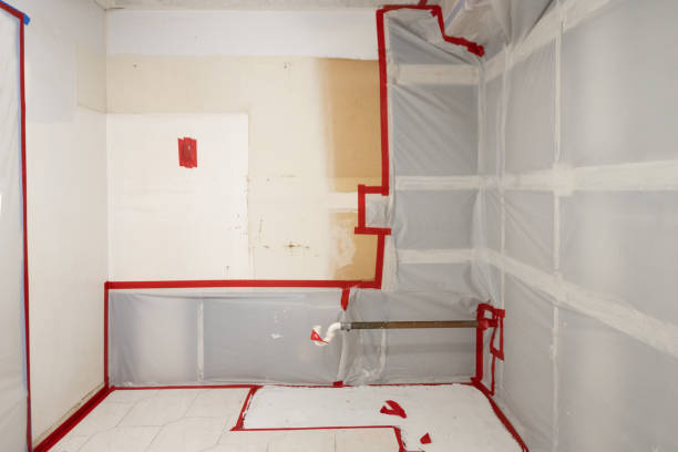 Best Dehumidification Services  in Applewood, CO