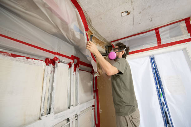  Applewood, CO Mold Removal Pros