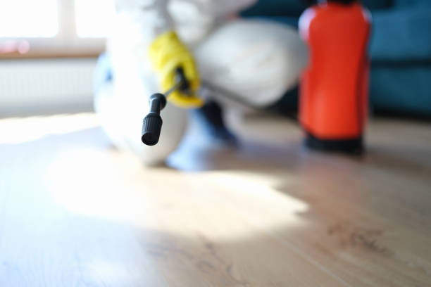 Best Mold Documentation for Insurance Claims  in Applewood, CO