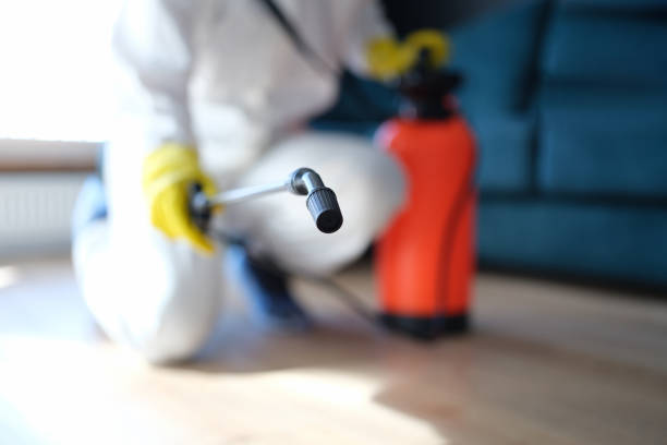 Best Indoor Air Quality Assessment  in Applewood, CO