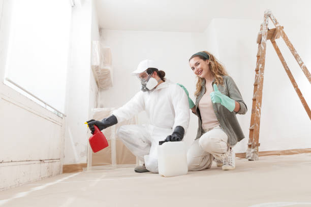 Mold Odor Removal Services in Applewood, CO