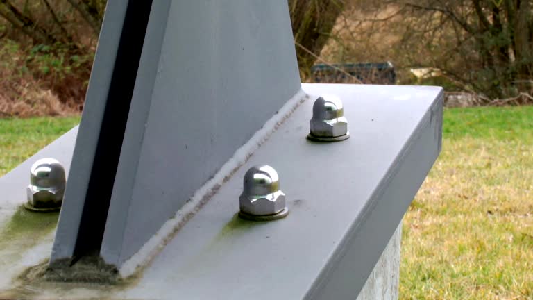 Trusted Applewood, CO Mold Removal Experts